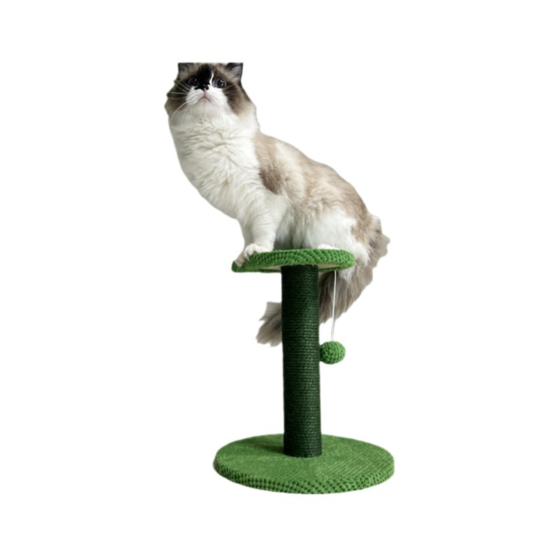 Piattaforma d'arrampicata per gatti in legno
